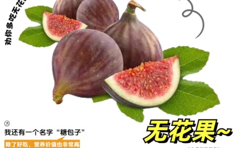 橘红胎果泡水正确方法-权威橘红胎的作用平台,分享专业橘红胎的功效与作用点知识_橘红胎的药用网