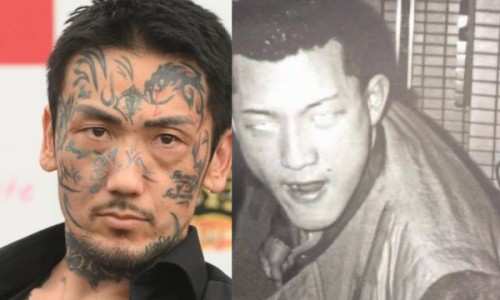 橘红胎果泡水正确方法-权威橘红胎的作用平台,分享专业橘红胎的功效与作用点知识_橘红胎的药用网