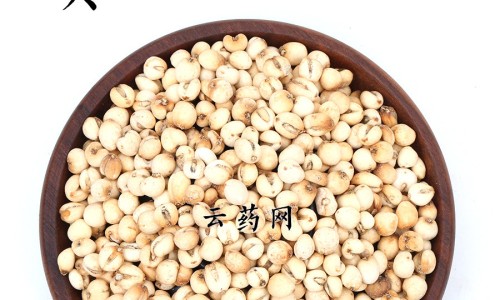 权威橘红胎的作用平台,分享专业橘红胎的功效与作用点知识_橘红胎的药用网