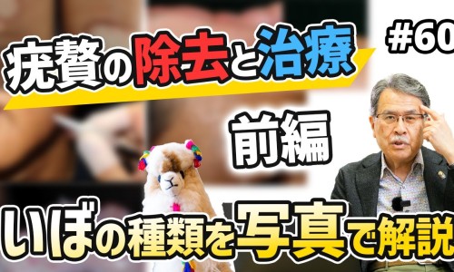橘红胎的功效与作用点-权威橘红胎的作用平台,分享专业橘红胎的功效与作用点知识_橘红胎的药用网